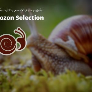 لوگو طرح حلزون
